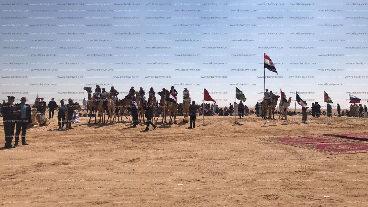 بالصور استعدادات اطلاق دورة مهرجان الاسماعيلية الدولى السابع عشر لسباقات الهجن بصحراء سرابيوم