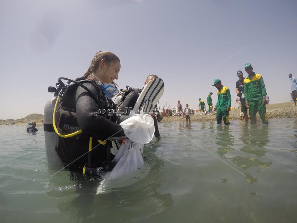  أكبر حملة نظافة تحت الماء بمارينا مرسي علم