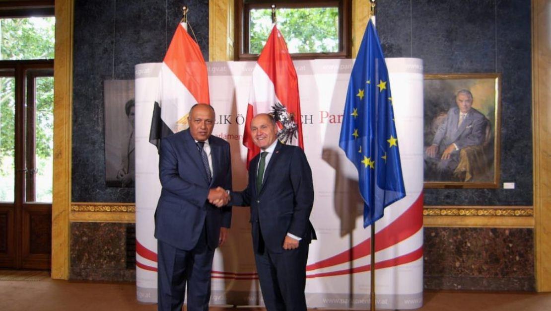 وزير الخارجية يلتقي رئيس البرلمان النمساوي