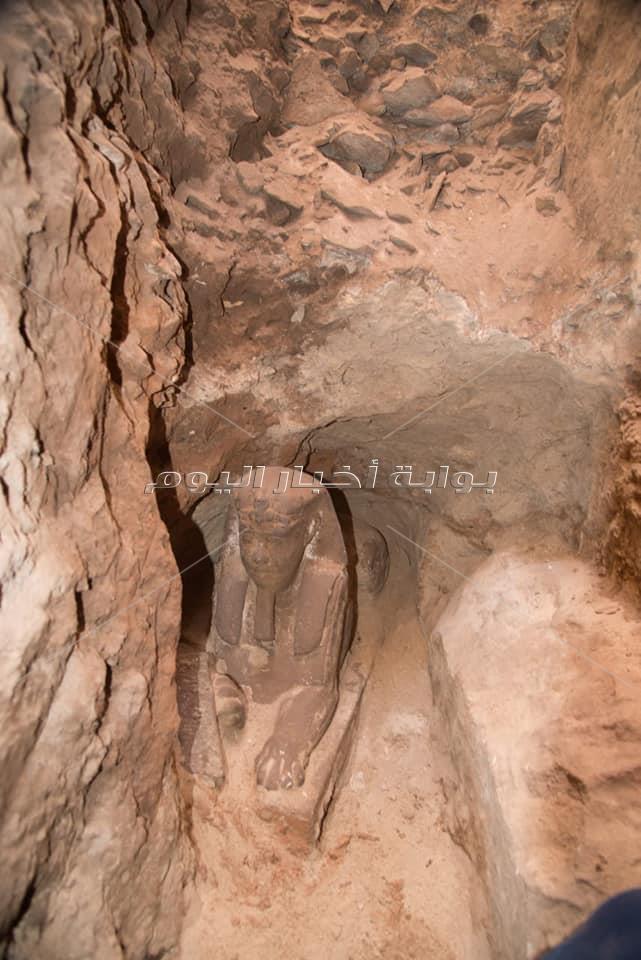 اكتشاف تمثال ابو الهول في كوم امبو باسوان