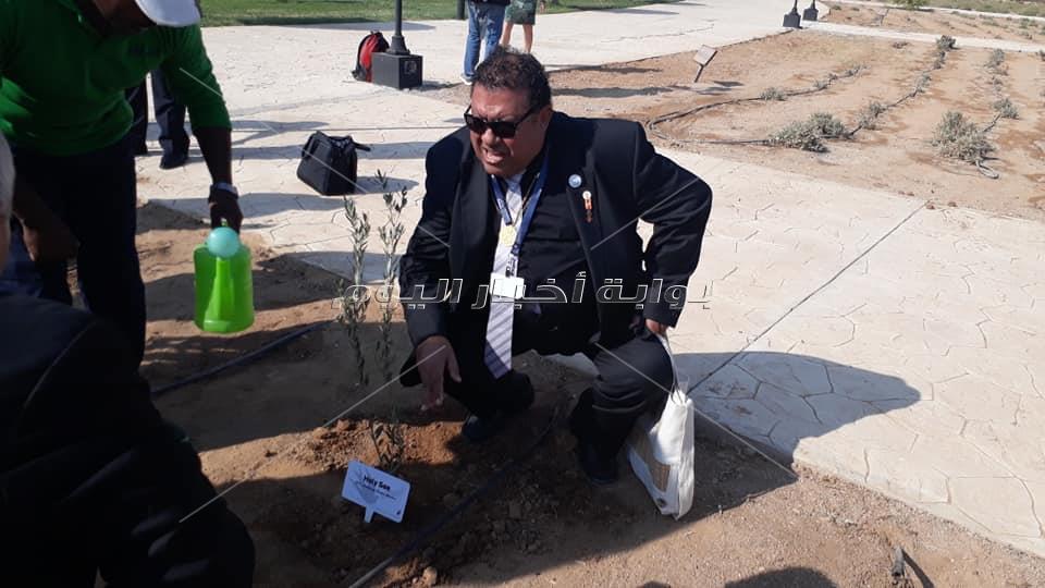 بالصور وزيرة البيئة تزرع أشجار الزيتون بحديقة السلام بشرم الشيخ