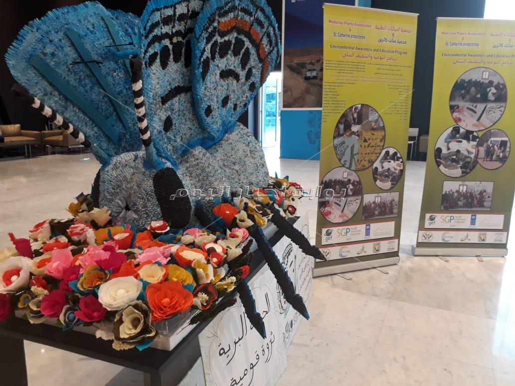 حضور مختلف لـ«فراشة سيناء الزرقاء» بمؤتمر التنوع البيولوجي