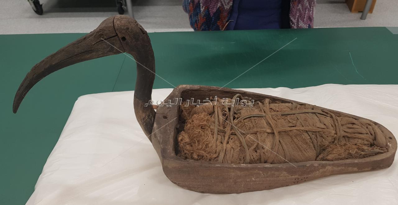 المتحف المصري الكبير يستقبل 559 قطعة أثرية من «مركب خوفو الثانية»