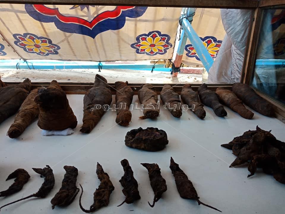 الكشف عن مقبرة "توتو" الكاهن المطهر بالعصر البطلمي باخميم في سوهاج