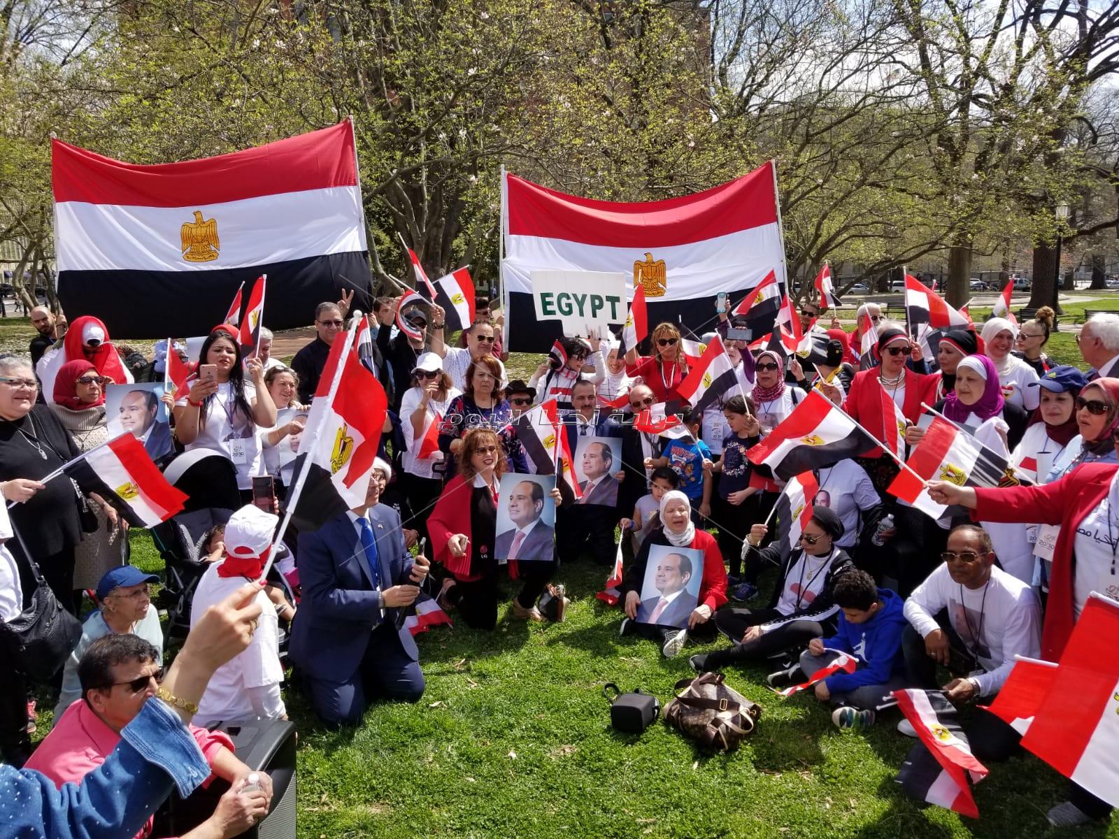 المصريين يردوا بقوة على محاولات الاخوان البائسة للاستقواء بالكونجرس ضد مصر