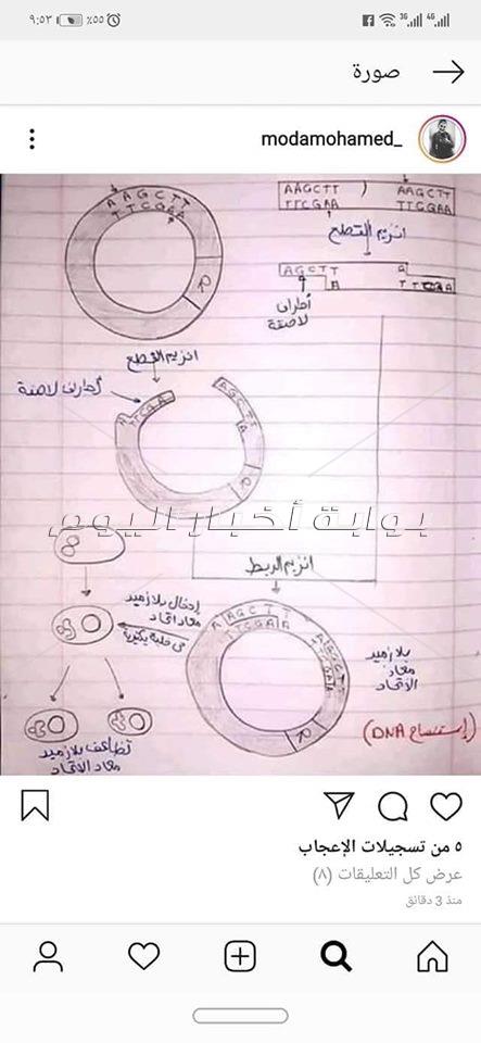 صفحات الغش الالكتروني تستجيب للطلاب وتنشر الاجابات ..والتعليم ترد " والله ما هنسبهم"