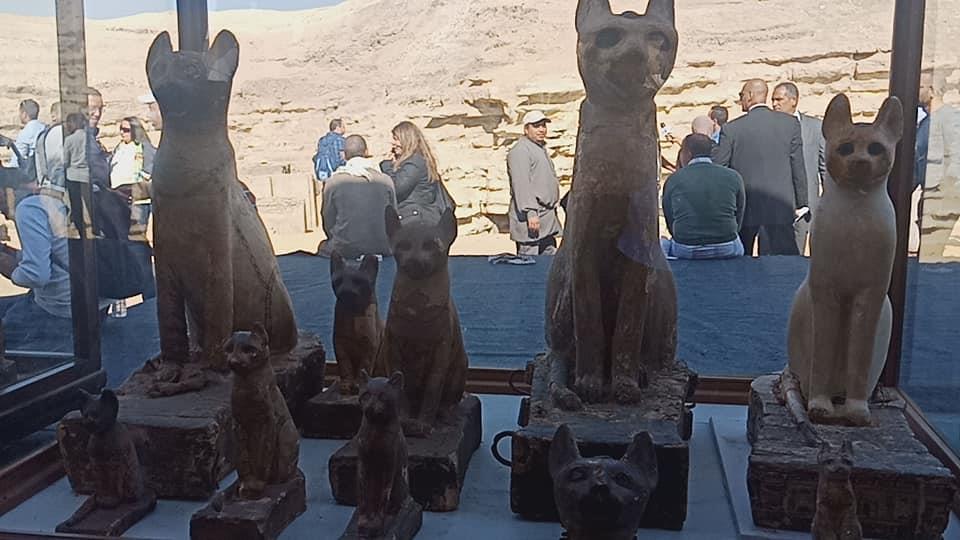  وزير الآثار يكشف عن «متحف متكامل» في خبيئة لحيوانات مقدسة في سقارة