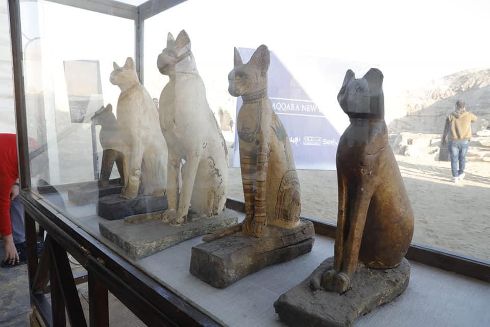  وزير الآثار يكشف عن «متحف متكامل» في خبيئة لحيوانات مقدسة في سقارة