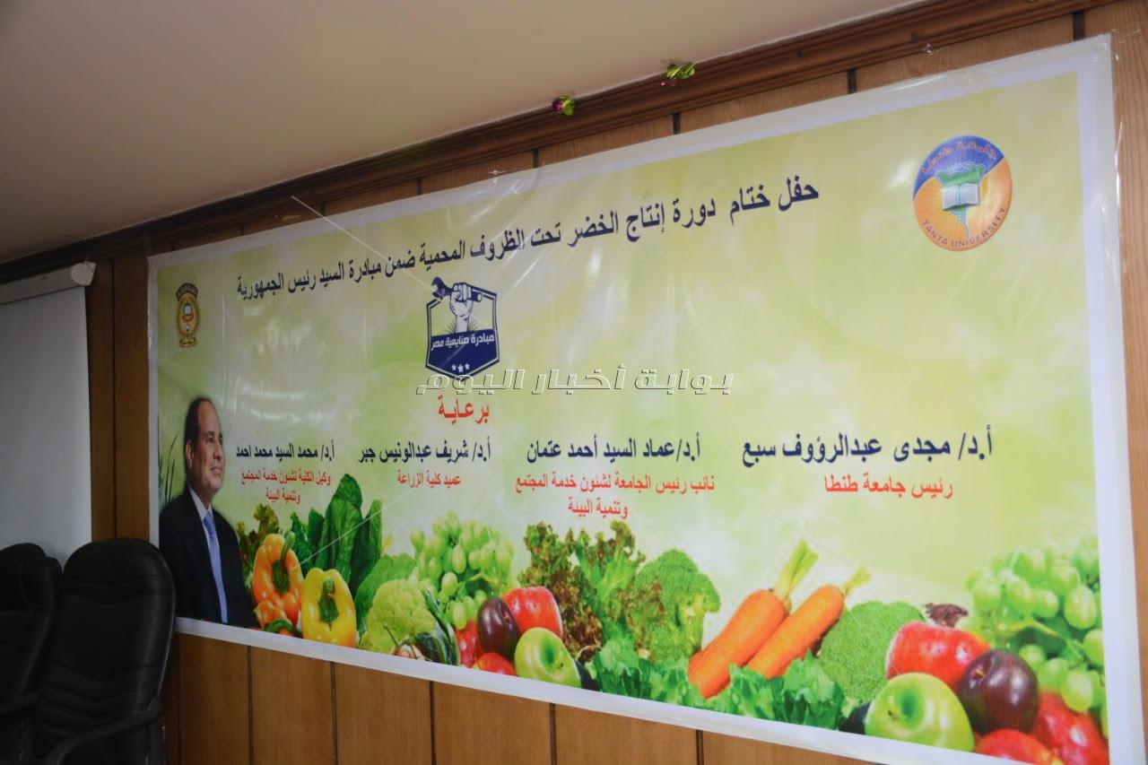 "إنتاج الخضر" ضمن مبادرة «صنايعية مصر» بزراعة طنطا