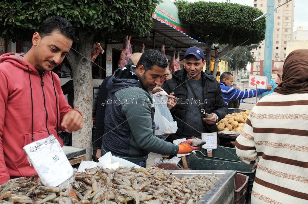 بالصور|أسماك غليون بـ 22 منفذ في الإسكندرية.. والجمبري بـ 90 جنيها