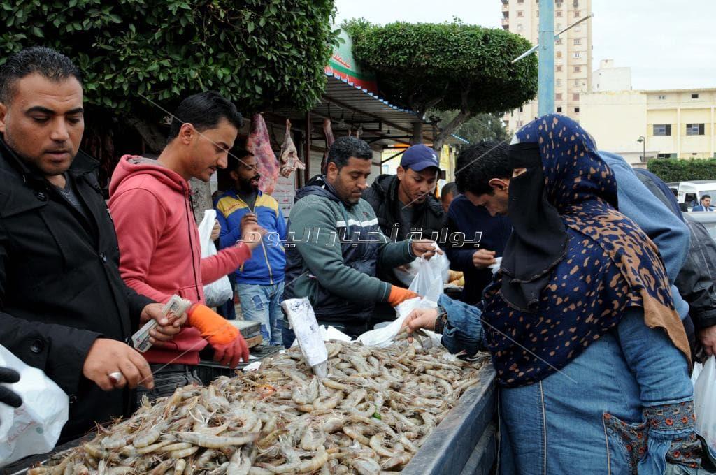 بالصور|أسماك غليون بـ 22 منفذ في الإسكندرية.. والجمبري بـ 90 جنيها