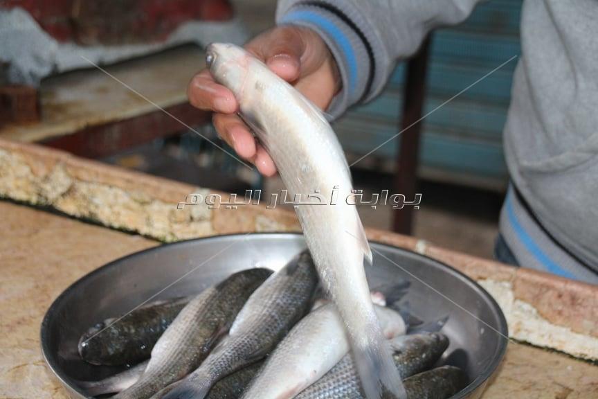 تجار سوق السمك بالاسماعيلية رافضين الانتقال للسوق الجديد