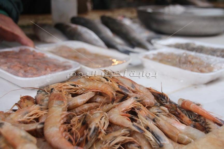 تجار سوق السمك بالاسماعيلية رافضين الانتقال للسوق الجديد
