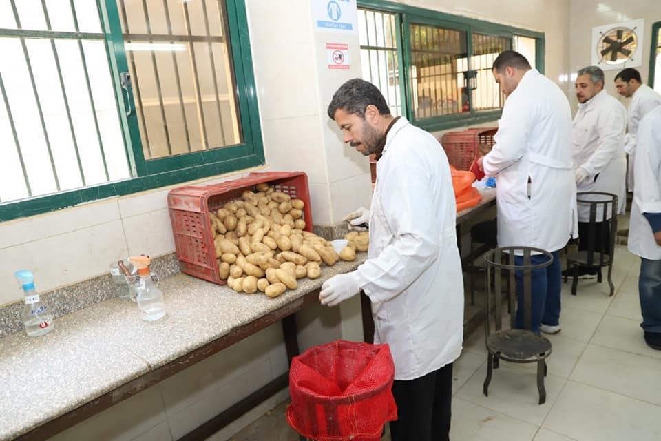 الزراعة تفتتح وحدة الرصد والمتابعة الجيومكانية لمشروع مكافحة العفن البني في البطاطس