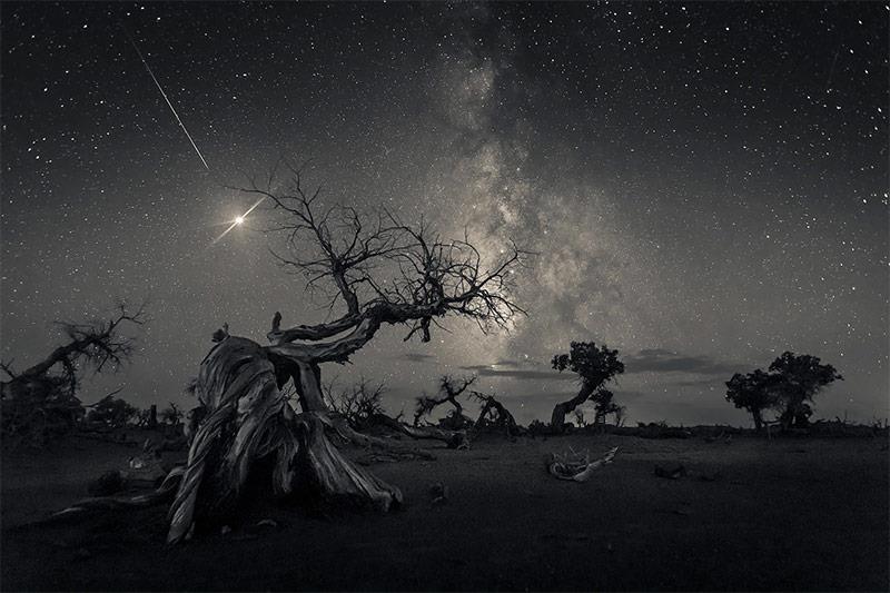 الصور الفائزة في مسابقة المصور الفلكي لعام 2019