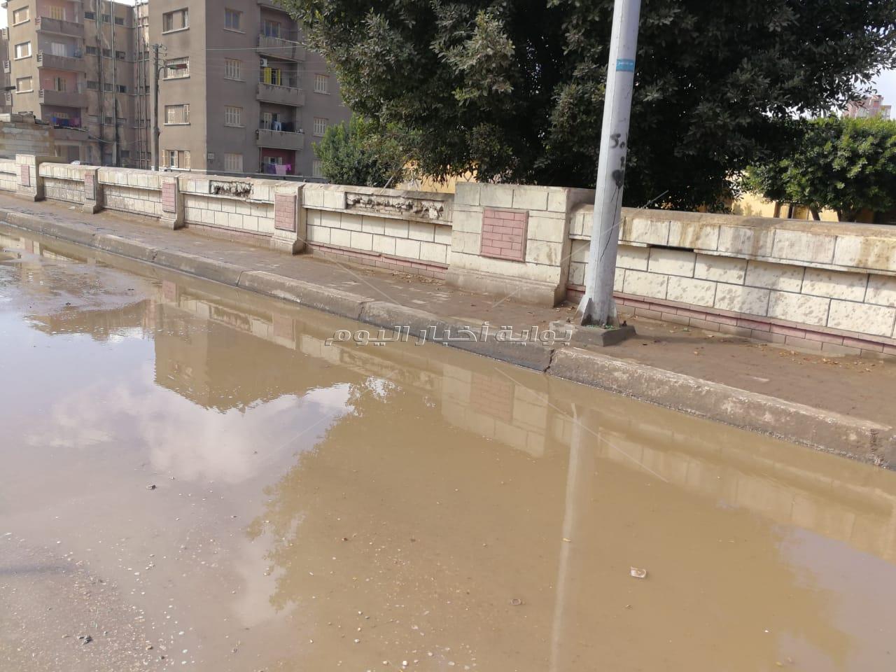أمطار غزيرة علي الغربية.. ومجالس المدن ترفع استعداداتها