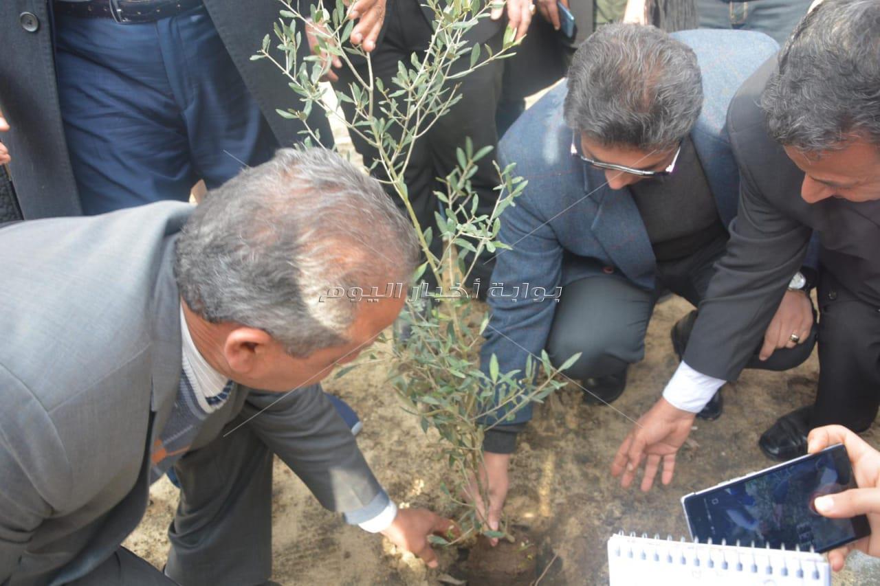 غرس أول شجرة مثمرة في جامعة دمياط