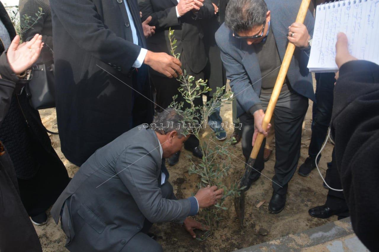 غرس أول شجرة مثمرة في جامعة دمياط