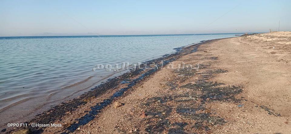 تلوث بترولي بأحد شواطئ رأس غارب شمال البحر الأحمر