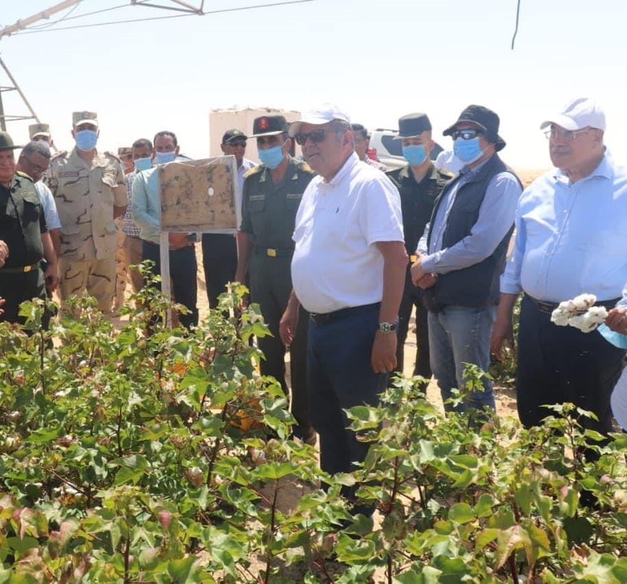 وزير قطاع الأعمال يتفقد تجربة زراعة القطن قصير التيلة