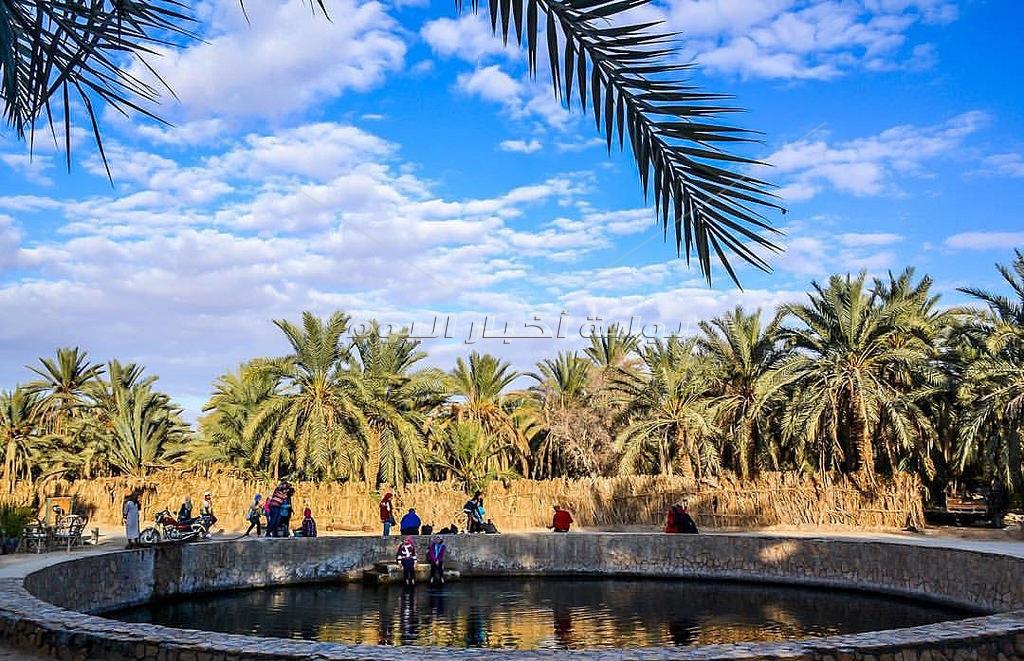 220 عين للمياه بواحة سيوة يرتادها السياح طلبا للعلاج والاستشفاء