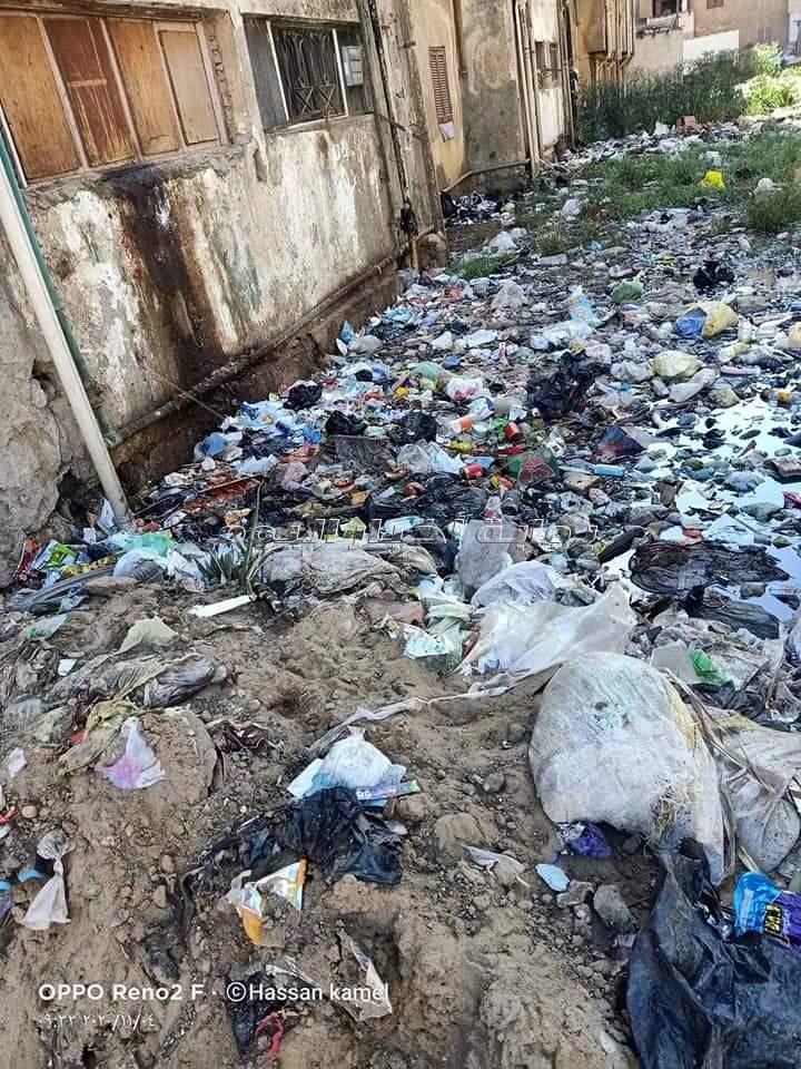 أهالي وردان محاصرون بـ «برك الصرف الصحي» والقمامة 