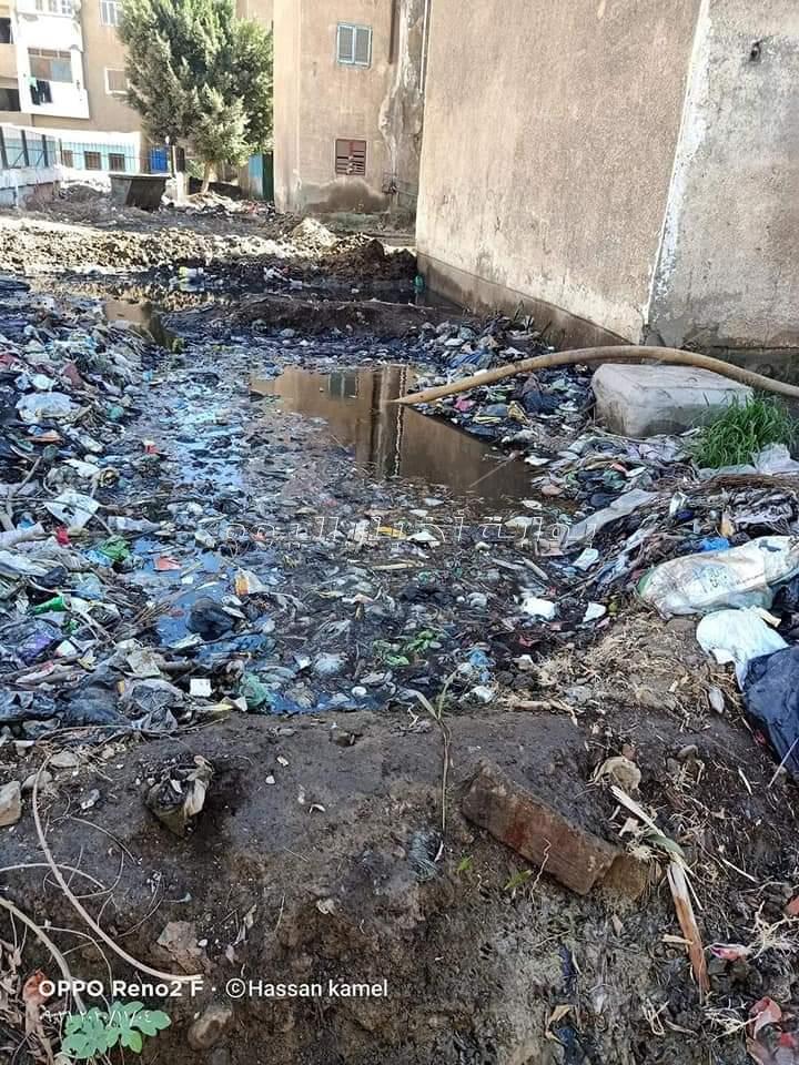 أهالي وردان محاصرون بـ «برك الصرف الصحي» والقمامة 