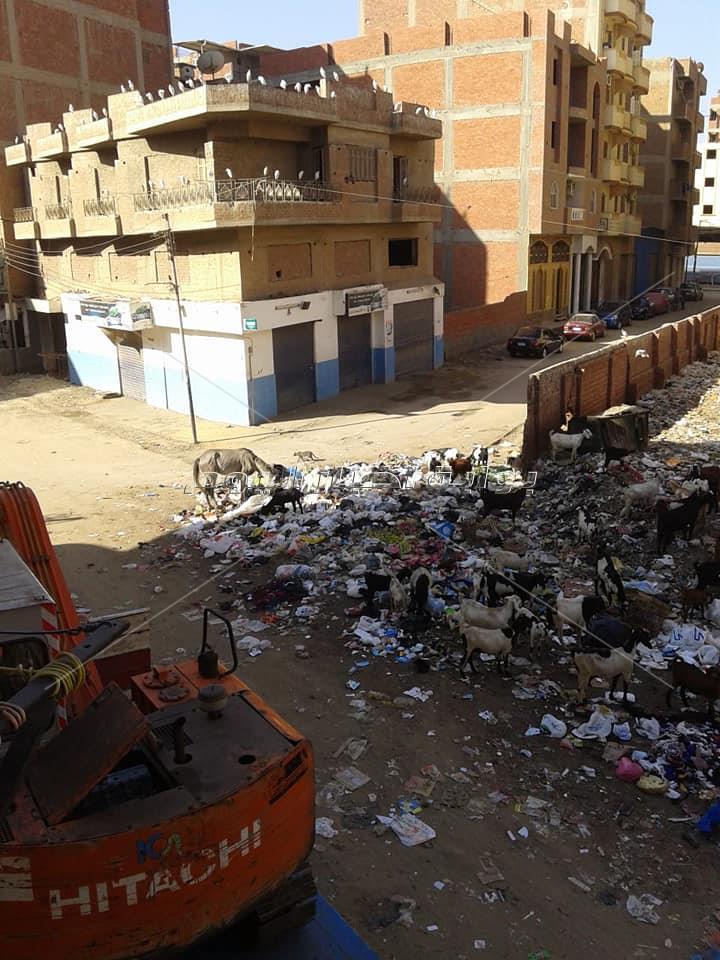 عمال النظافة يحولون شارع سكني ل "مقلب قمامة" في المنوفية