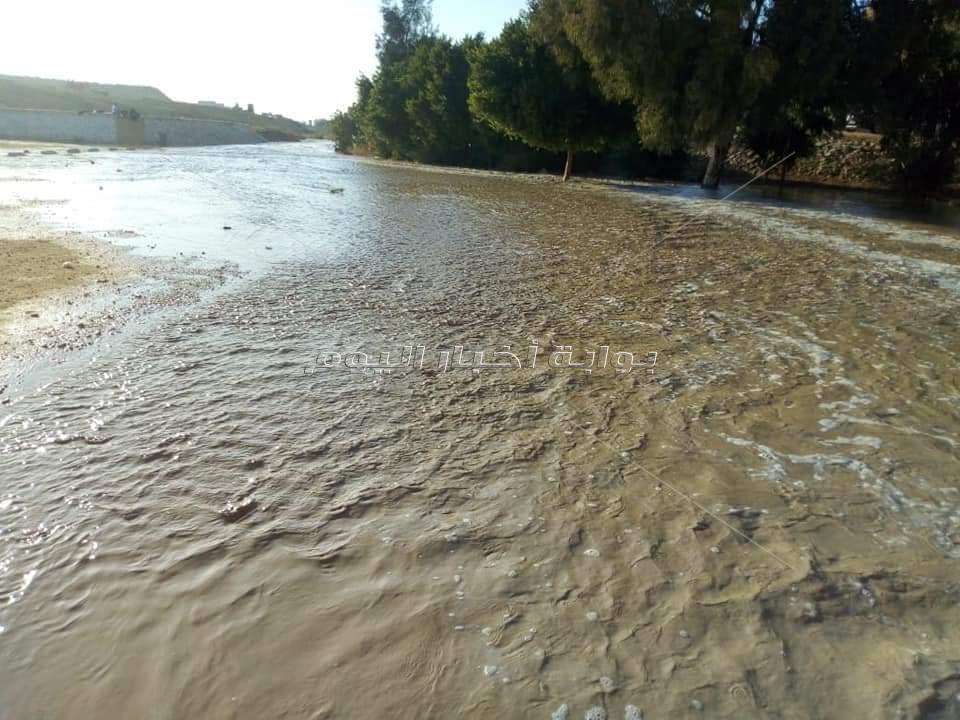 محمية وادي دجلة تنقل مياه الأمطار من الجبال إلى نهر النيل