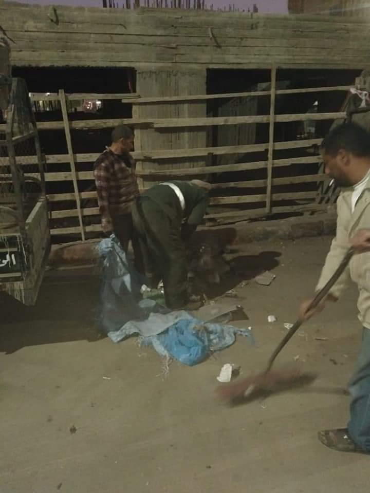 بالصور : جانب من أعمال النظافة والانارة  بقرى المنيا