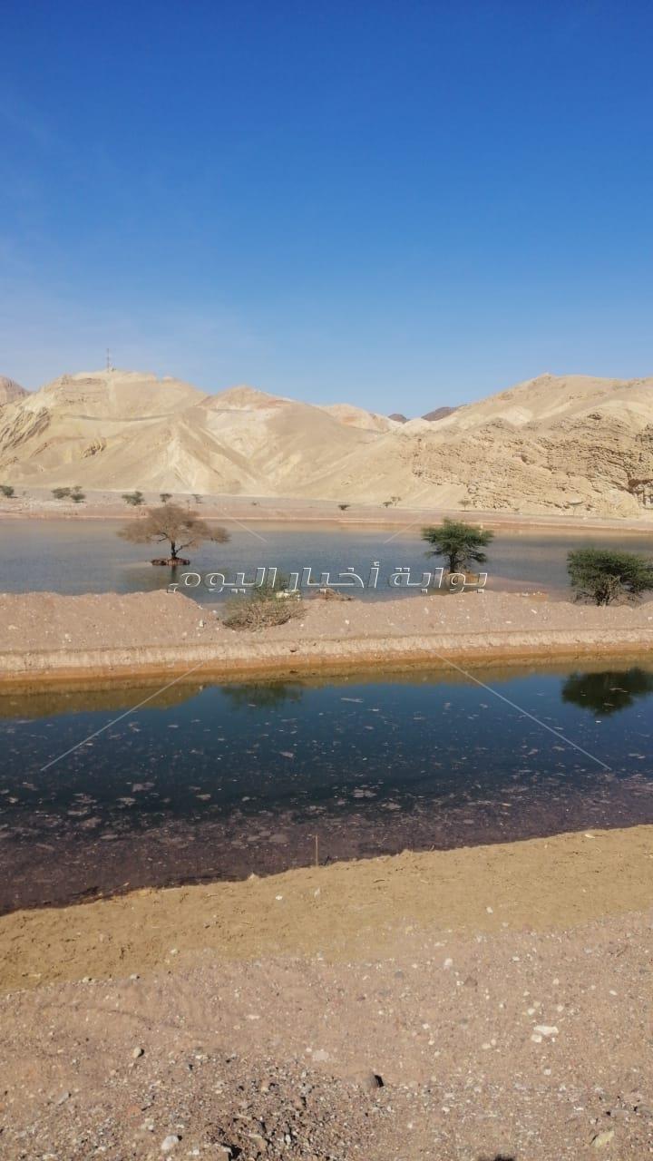 - عبد العاطي يفتتح 100 منشا ويتفقد عدد من أعمال الحماية من اخطار السيول بمحافظة جنوب سيناء