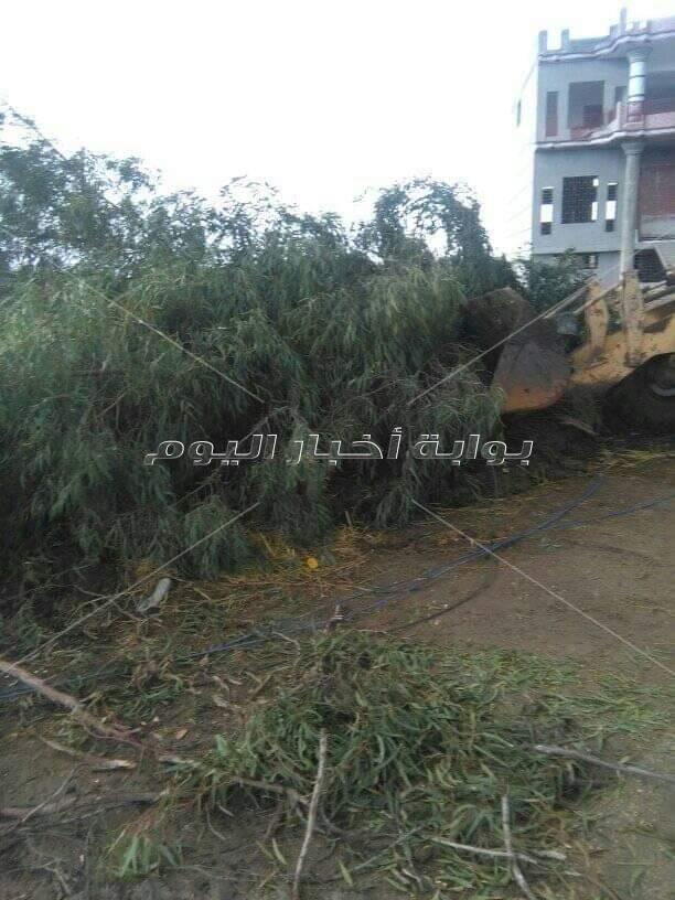 سقوط مجموعة من الأشجار علي طريق الشين قطور بالغربية 