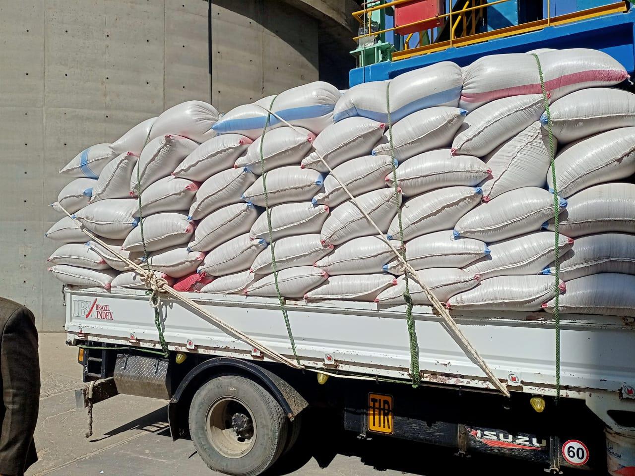 محافظ المنيا: بدء توريد محصول القمح بالشون الحكومية 