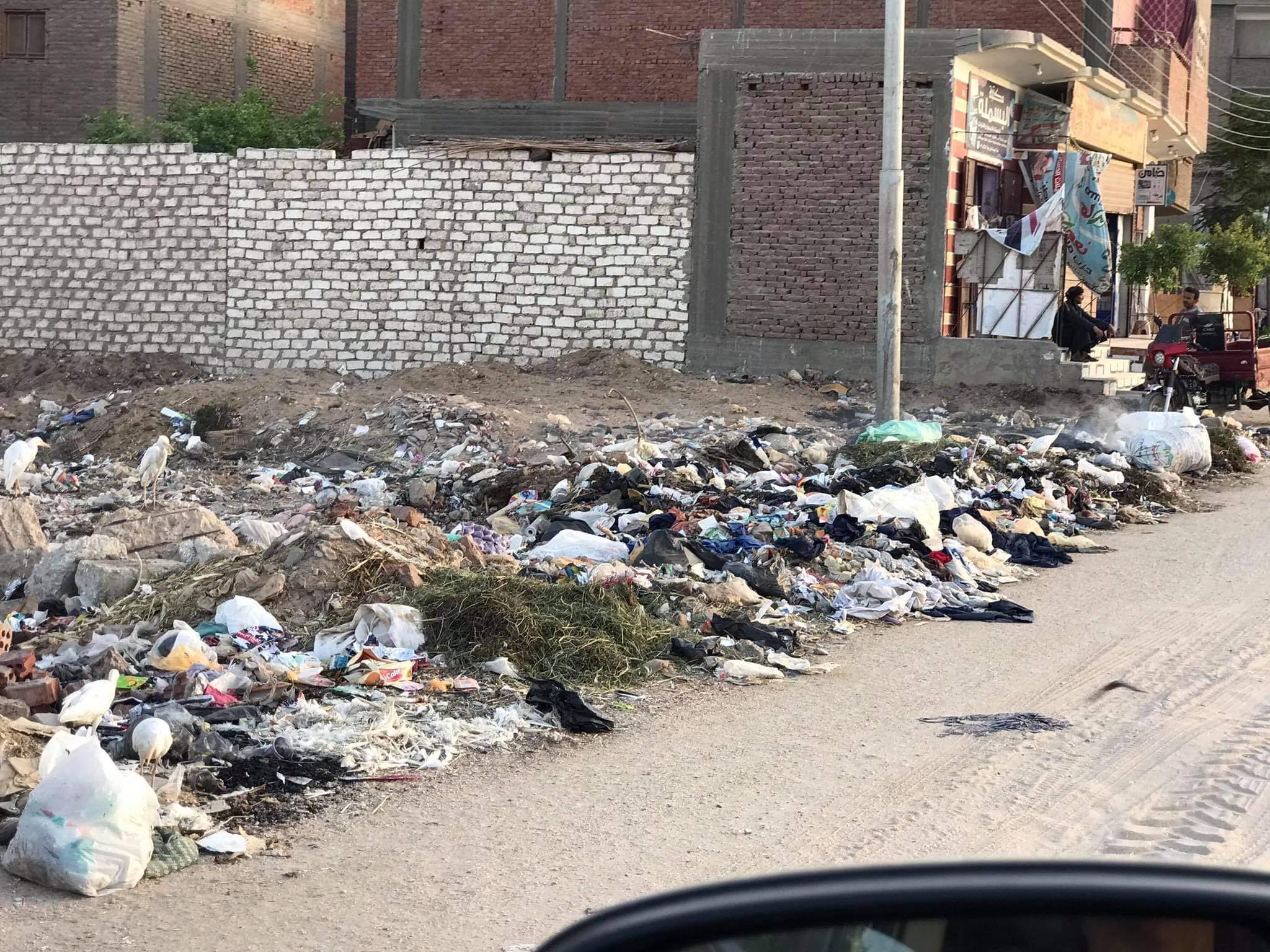 أكوام القمامة تغزوا شوارع قري "حياة كريمة" بمركز الغنايم