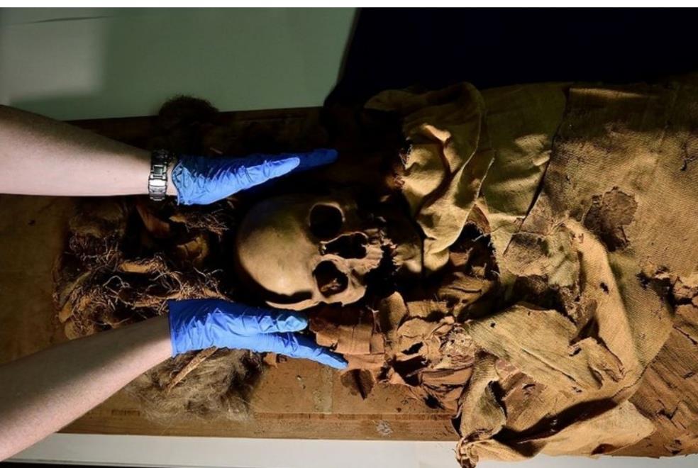 «عنخ خونسو».. مومياء مصرية تظهر للمرة الأولى في التاريخ بإيطاليا  