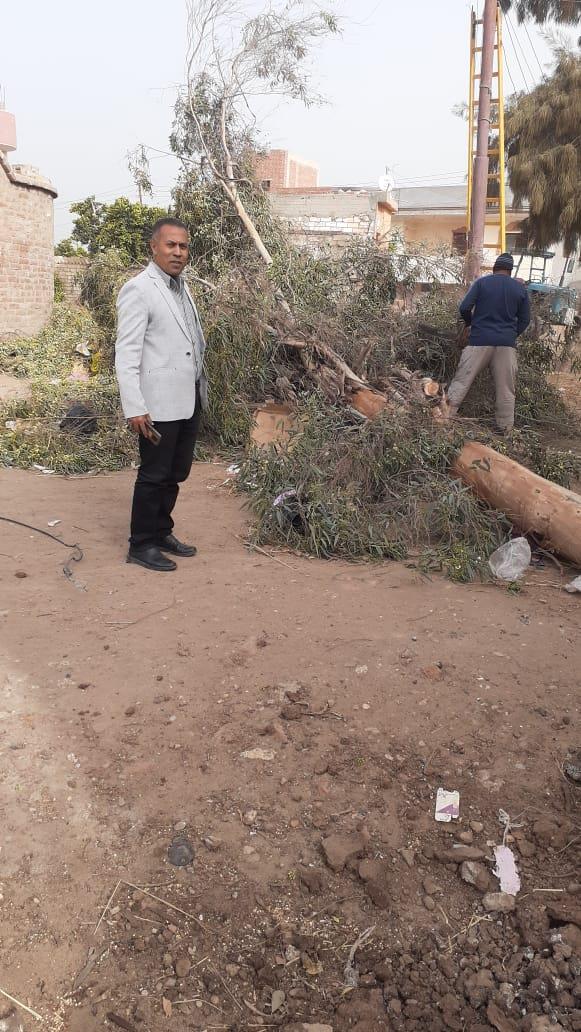 سقوط شجرة على أسلاك الكهرباء بطريق الرحمانية شبراخيت