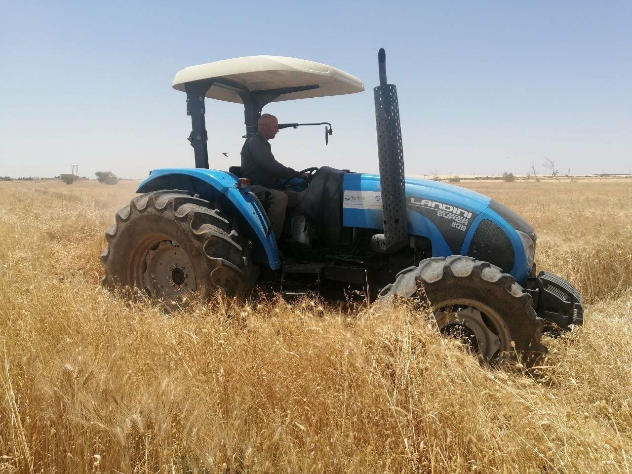 رئيس جامعة المنيا يتفقد "حصاد ودرس القمح" بمركز التجارب والبحوث الزراعية بشوشة‎‎