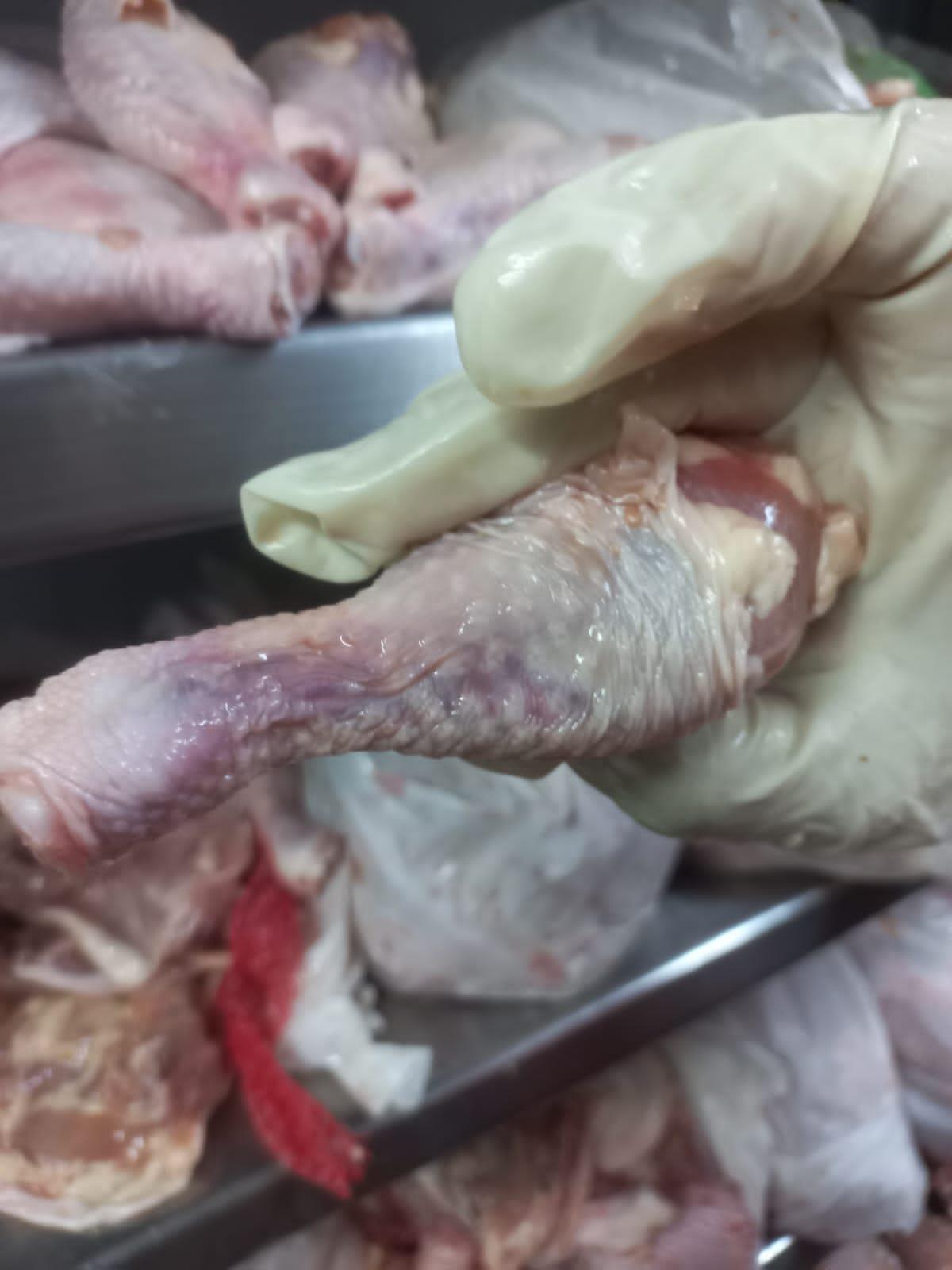ضبط 220 كيلو دواجن ولحوم غير صالحة للاستهلاك في حملة على المطاعم بالسويس 