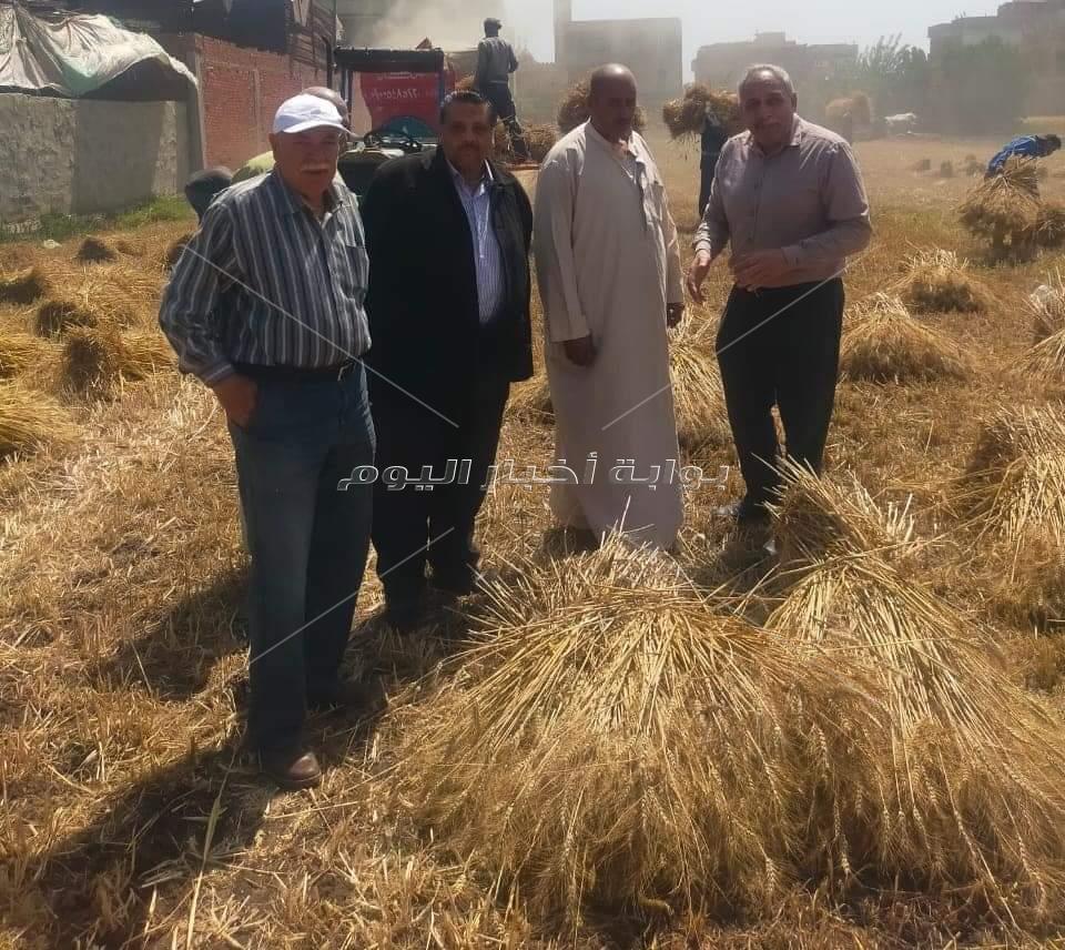 وكيل وزارة الزراعة بالغربية يشهد بدء حصاد محصول القمح بالأراضي الزراعية