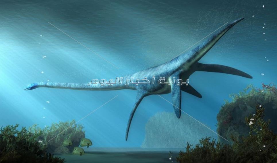 بالصدفة الكشف عن بقايا ديناصورات في الوادي الجديد بمصر