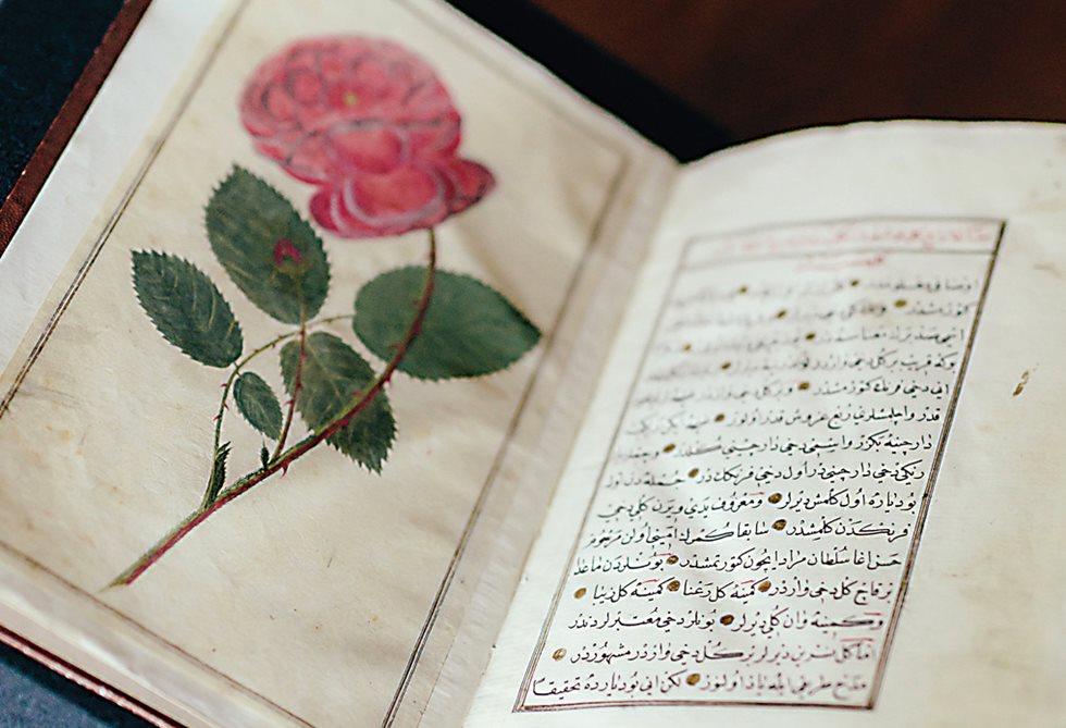 أصل الحكاية .. مكتبة "جوتا" للعجائب الإسلامية المنسية في ألمانيا