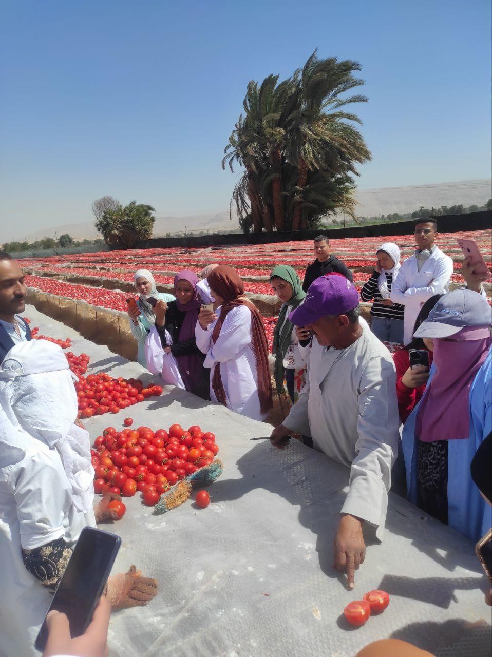 زيارة ميدانية لطلاب برنامج تكنولوجيا التصنيع الغذائي لمعرفة طرق تجفيف الطماطم