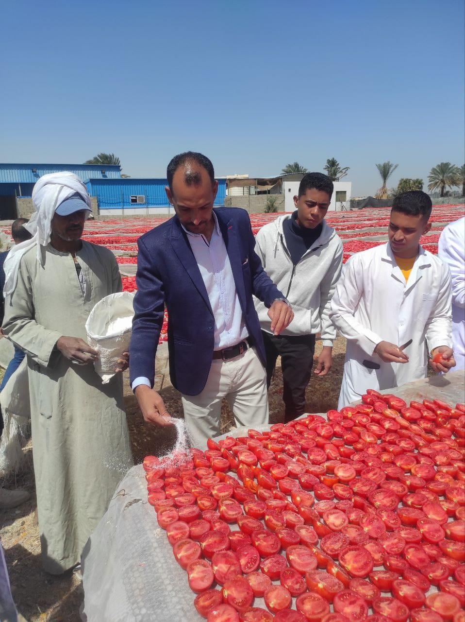زيارة ميدانية لطلاب برنامج تكنولوجيا التصنيع الغذائي لمعرفة طرق تجفيف الطماطم
