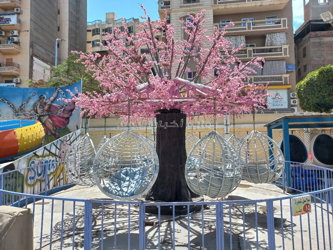 جاهزية المنتزهات والحدائق العامة لإستقبال المواطنين خلال الإحتفال باعياد الربيع "شم النسيم" . 