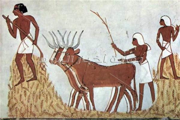  عيد حصاد القمح في مصر القديمة