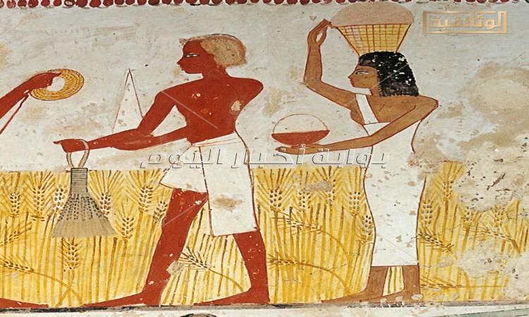  عيد حصاد القمح في مصر القديمة