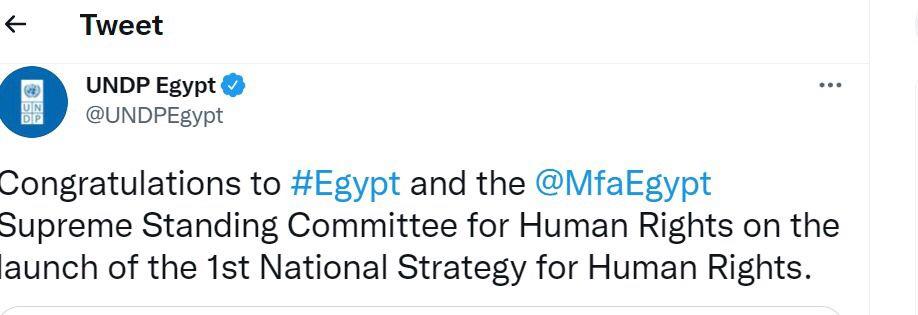 برنامج الأمم المتحدة الإنمائى يهنئ مصر بإصدار استراتيجية حقوق الإنسان