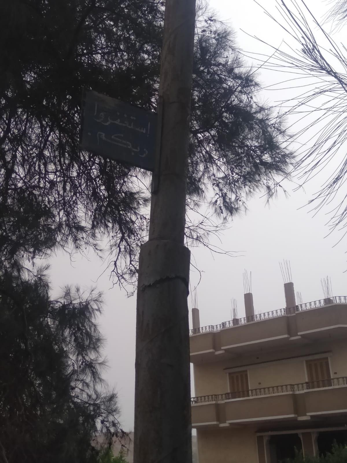 سقوط شجرة ضخمة بكفرالزيات  وإغلاق شارع بطنطا 