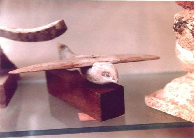 باعتراف علماء الفضاء.. طائر بالمتحف المصرى يتحول لنموذج لطائرة