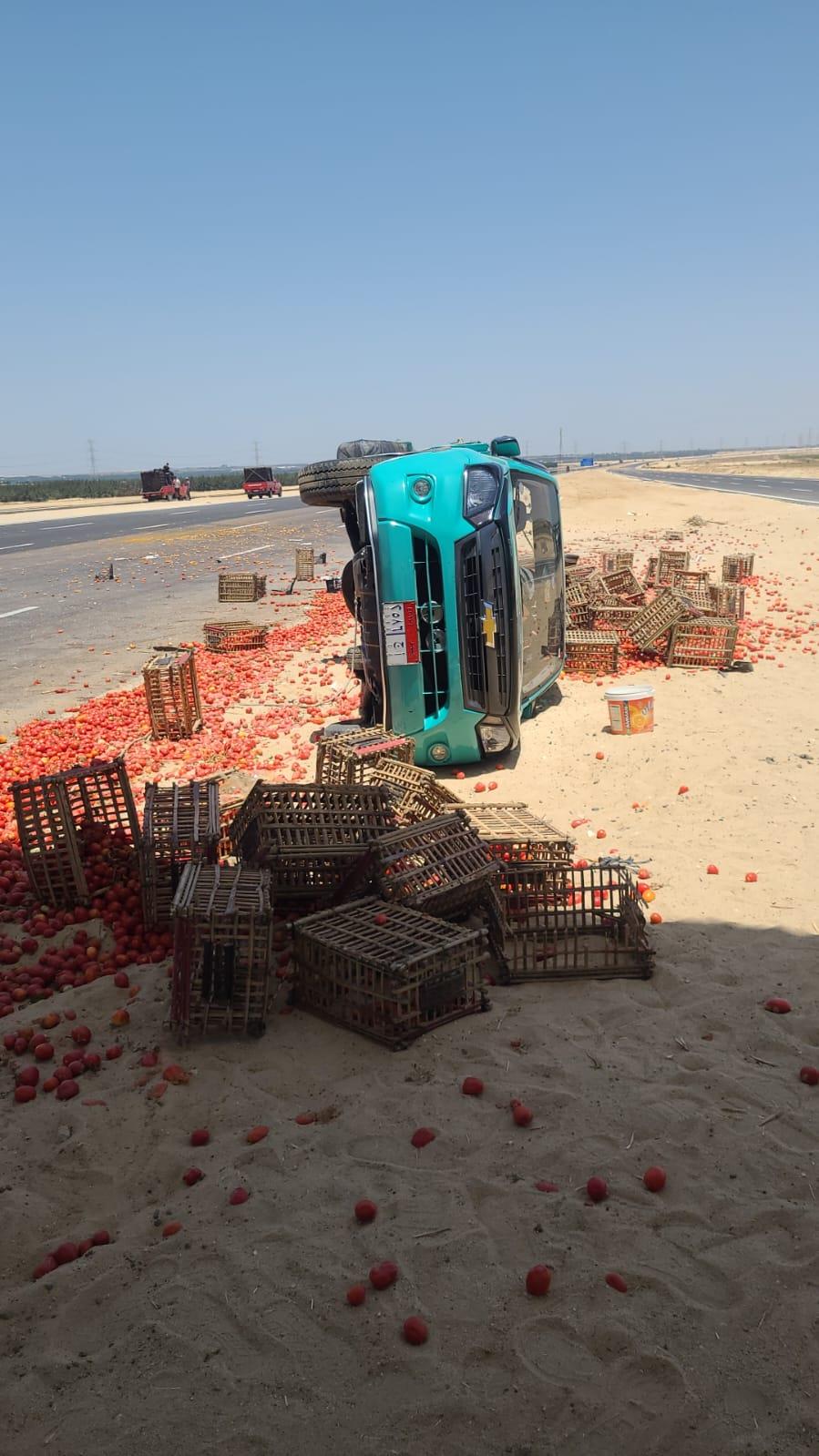  حادث مروع بين سيارة ميكروباص وأخرى نصف نقل محملة بالطماطم بطريق محور الضبعة 